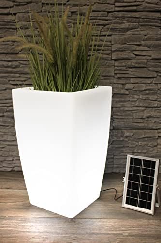 Fuente De Lámpara Solar Para árboles De Alta Calidad: Fabricante Y Lámpara Solar Para árboles En