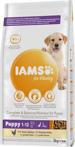 IAMS Junior Hundefutter trocken mit Huhn - Welpenfutter für Welpen im Alter von 1-12 Monaten, geeignet für große Rassen, 3 kg