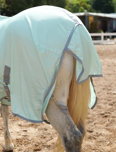 Image of LEAFOREST Horse Mesh Combo Fly Sheet with Adjustable Belly Guard and Detachable Neck Cover Lightweight and Breathable Protect Equines Green 81 inch