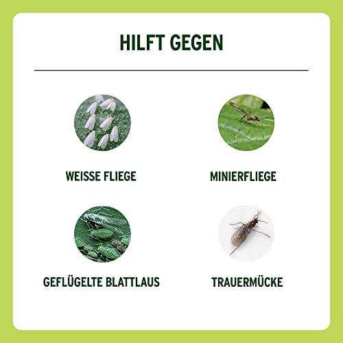 Nexa Lotte Gelbtafeln – Insektizidfreie Leimfallen für Pflanzen