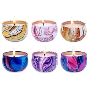 Scented Candles Set of 6, Soy Wax Aromatherapy Candles, 2.2 OZ Portable Tin Candles with Lid, Christmas Thanksgiving Candle Gifts Basket for Friends and Coworkers