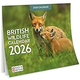 British Wildlife Calendar 2026 – Wildlife & Nature Wall Calendar A4 Month-to-View – British Animals Photography, Practical 2026 Calendar for Home or Office, Organiser & Family Planner