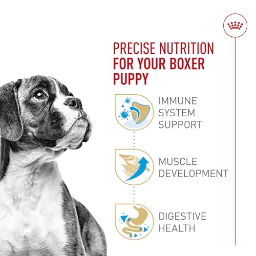 Royal Canin Breed Health Nutrition Boxer Puppy Dry Dog Food, 30 lb Bag