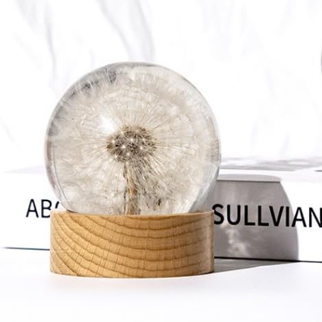 Real Dandelion Specimen in Clear Resin Sphere with Solid Wood Base - 2.36" Preserved Natural Dandelion Display, Botanical Home Decor, Scientific Collectible