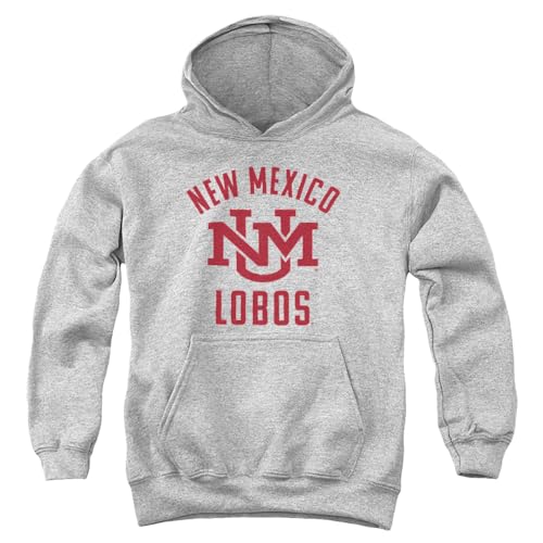 LOGOVISION The University of New Mexico Large One Color YOUTH HOODED SWEATSHIRT