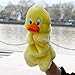 RIY Hand Puppet - Farm Animals Friends Educational Puppets Duck