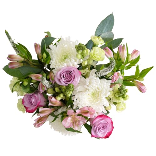 UrbanStems – The Lavender Crush Bouquet (No Vase) – Fresh Flowers for Delivery – Birthday, Thank You, or Congratulations