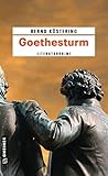 Cover zum Buch Goethesturm