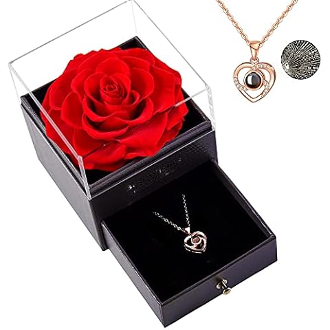 Roqueen Rosa Eterna, Rosa Preservada con Collar Cover