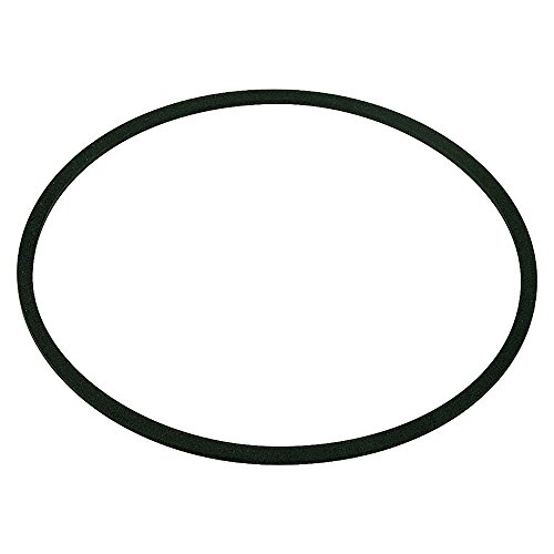 Sta-Rite Pump Dura-Glas II/Max-E-Glas II Diffuser O-Ring