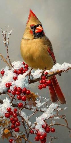 G , qp lp S, DIY G fW^G Lbg ȒP ŃyCglLbg hG  ANʊG̋MtH| |phCeA Ǐ j̑蕨 50x100cm (t[X) i-642