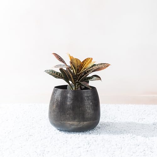 Fab Habitat Orra Antique Brass Round Metal Planters - Medium,