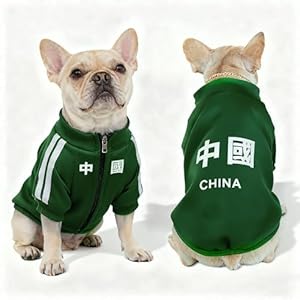 Fun China National Team Look for Pets – Casual Pet Tracksuit in Classic Red/White Design, Ideal for Festivals & Family Pics (China Green,9)