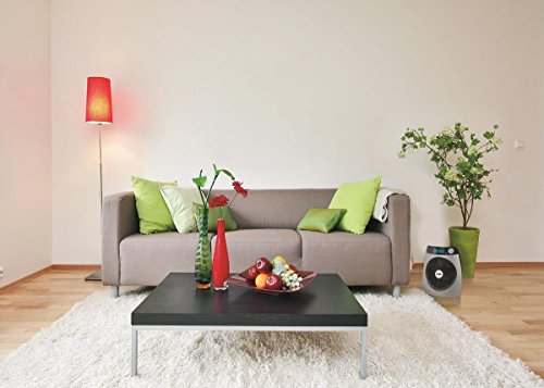 Vornado IControl Termoventilatore silver con