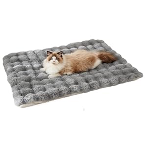 Whnbuij Plüsch Katzenmatte NLAB2IF6DNLZ3NU7LNEG