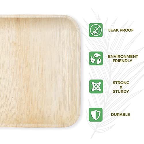 Sancdome Palm Leaf Plates - All Natural Biodegradable Disposable Wood Plates - 10 Inch Square (Pack Of 25) - Eco Friendly Compostable Tableware With Durability #TOP1
