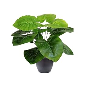 Go Hooked Artificial Philodendron Plant with complimentary Nursery Pot | 12 Green Patterned Leaves Ornamental Plant for Interior Decor/Home Decor Office Decor