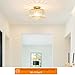 Crystal Ceiling Light Fixture, Modern Semi Flush Mount Ceiling Light, Gold Hallway Lighting Fixtures Chandelier for Kitchen, Close To Ceiling Light Fixtures for Entryway Bedroom, 1-Light, 11Inch