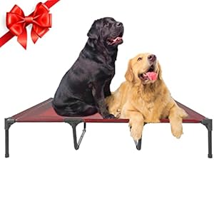 Portable Raised Dog Bed