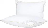 Buddemeyer Kit Travesseiro 50x70cm Toque de Pluma Algodão Branco 2 peças