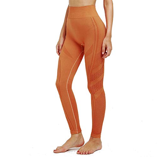 Pantalones de yoga transpirables que absorben la humedad con cintura alta estilizada