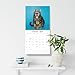 Funny Cats 2026 Square Wall Calendar
