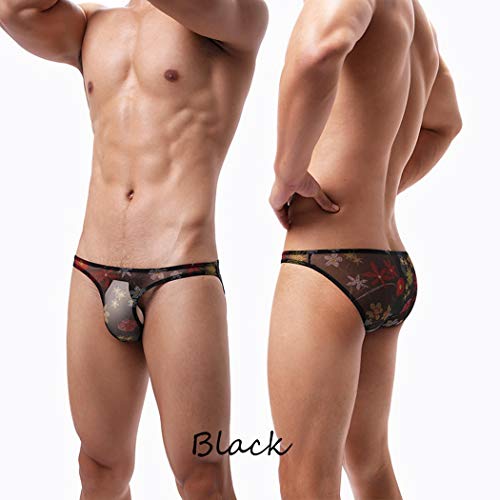Mens Sexy Underwear Breathable Sexy Mesh See Through Bikini Briefs4
