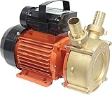 69062 Pumpe für Flüssigkeiten, ohne Korrosive, 750 W, 65 l/min