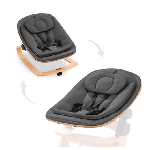 hauck Highchair Bouncer Eco, Deep Grey - Babywippe mit Holzgestell - Ergonomische, Verstellbare Liegefläche ab Geburt - inkl. Adapter Kompatibel mit Hochstuhl Alpha+ und Beta+