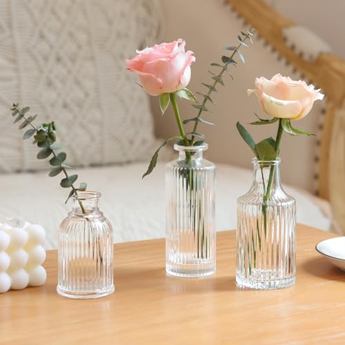 image for ComSaf Glass Bud Vases Set of 3, Small Flower Vases in Bulk, Mini Ribb