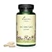 Produktbild BIO MAITAKE EXTRAKT KAPSELN Vegavero ® | 50% POLYSACCHARIDE | 500 mg Maitake Bio Extrakt  entspricht mind. 7500 mg Maitake Pulver | Ohne Zusatzstoffe | Laborgeprüft | 60 Kapseln | Vegan