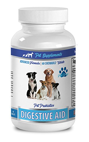 Dog Supplement - Advanced Formula - Digestive AID - PET PROBIOTICS - for Dogs - lactobacillus for Dogs - 1 Bottle (60 Chewable Tablets)