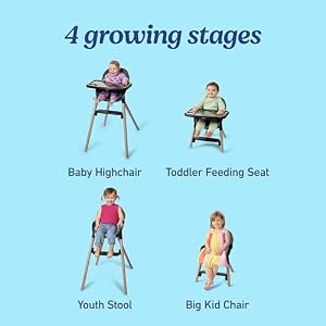 Graco Ready2Dine DLX 4-in-1 Highchair, Linden — photo 2 of 6