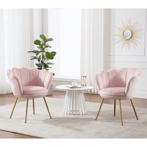 chairus Light Pink Makeup Vanity Chair with Back, Modern Velvet Upholstered Small Accent Chair with Gold Metal Legs, Cute Shell Shaped Vanity Stool Desk Chair for Living Room Bedroom Dressing Room