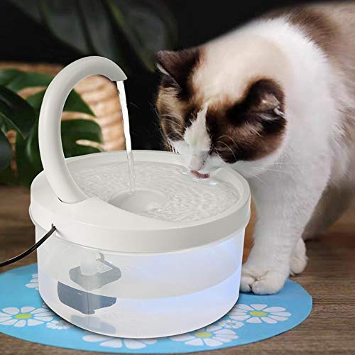 Fuente de agua eléctrica para gato 2.5L transparente miniatura 7