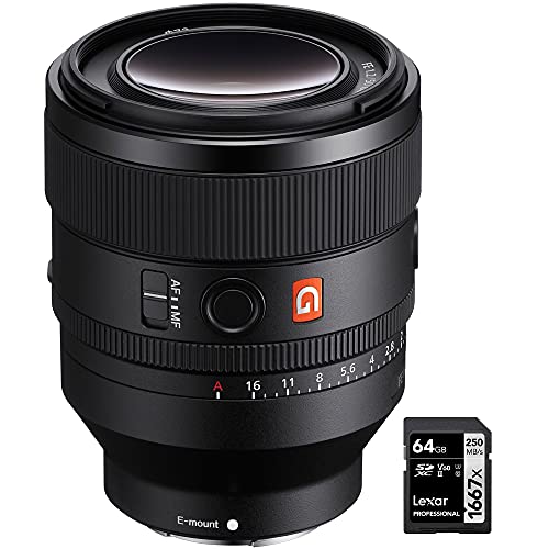 Sony SEL50F12GM FE 50mm F1.2 GM tt[ aG}X^[Y E}Egp Lexar Professional SDHC/SDXC 1667x UHS-II 64GB [J[ht