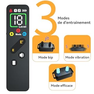 Meloive Collier de Dressage pour Deux Chiens,Portée 3000 Mètres,3 Modes Son/Vibration/Choc Électrique avec Verrouillage de Sécurité,Résistant à l'eau et Rechargeable