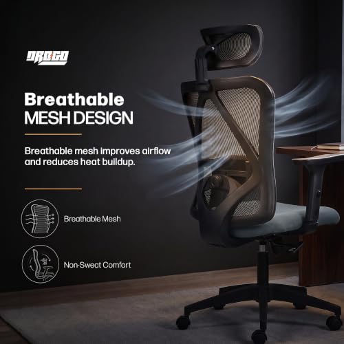 Image of DROGO Ergonaut Ergonomic Office Chair for Work from Home | Computer Chair with 2D Headrest, Armrests & Adjustable Lumbar Support | Breathable Mesh with 120 Recline, 1-Year Warranty(Black & D.Grey)