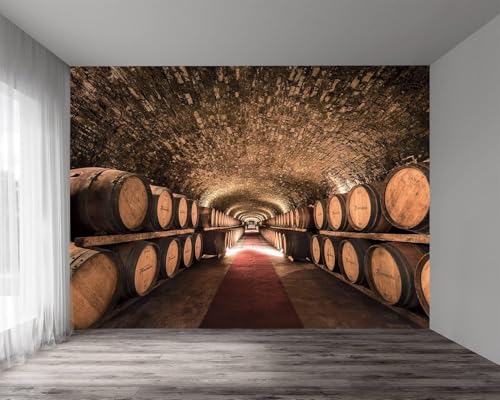 Papier Peint Panoramique Cave à Vin 350x256 cm 3D Papier Peint Intissé Cave Vintage Photo Trompe l'oeil Poster Geant Mural Salon Chambre Enfant Chambre Décoration...