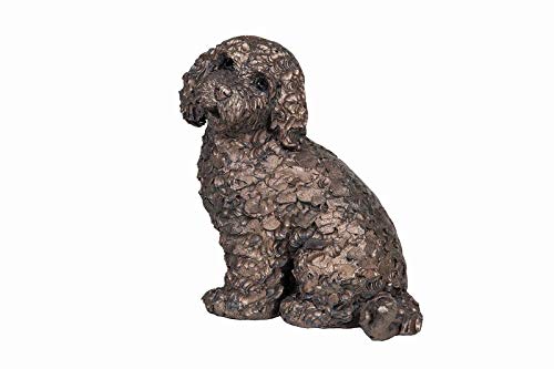 What is a cockapoo dog look like