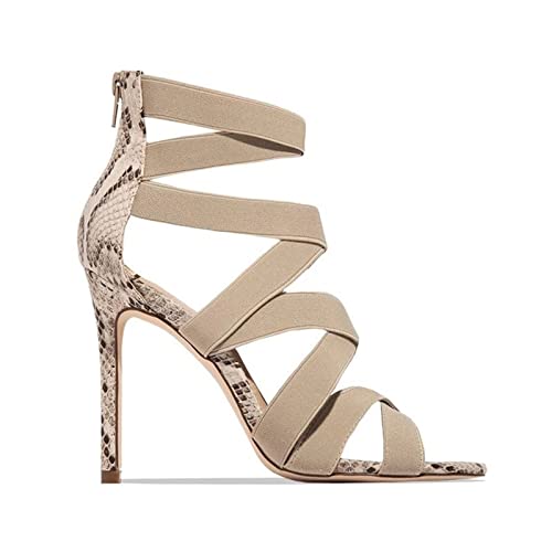 Kipؐ肷AuPbgtKi AǊ|nh[ALpT|[gnh(330cm)