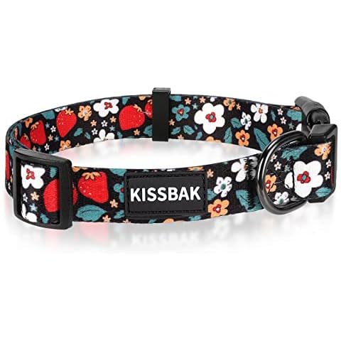 Collier KISSBAK pour Grands Chiens Cover