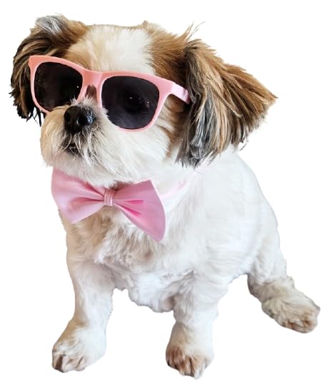 Disfraz para perros pequeño-medio con gafas retro y corbatín