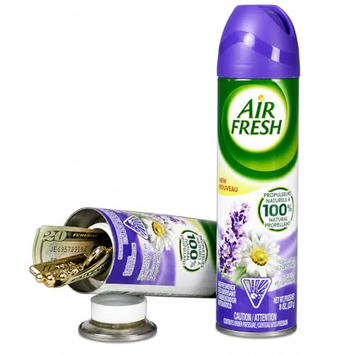 Mini coffre-fort camouflé portable pour ranger vos objets de valeur en colocation