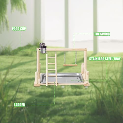 Image of Bird Playground, Natural Wood Bird Perch Stand with Removable Tray and 2 Stainless Steel Feeder Cups, Parrot Playstand Bird Cage Toys for Conure Parakeet Cockatiel Parrot (B)