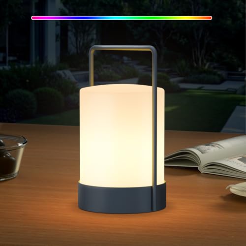RWWR LED Outdoor Lampe Akku Tischlampe Kabellos Metallgerüst Wetterfest IP44 Dimmbar 8-10H Akku Tragbar Warmweiß und RGB USB-C Aufladung für Terrasse Esstisch Garten Balkon Camping