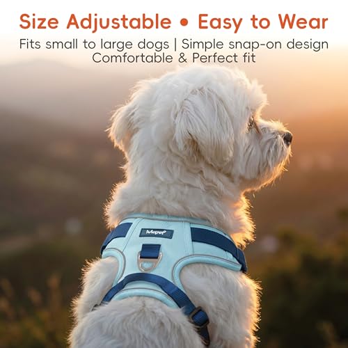 Lulupet No-Pull Dog Harness & Leash Set (Blue, Medium) — view 4
