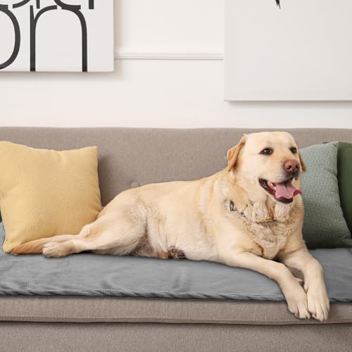 Aomig Hundedecke Katzendecken Waschbar Flauschig Decken Super Weich Fluffy Haustier Decken Kleine Mittlere Grosse Hunde Katzen Sofaschoner aus Coral Fleece für Transportbox Autos Betten Grau 95 * 80cm