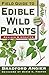 Field Guide to Edible Wild Plants