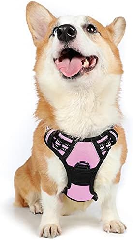 rabbitgoo Dog Harness Medium No Pull Pet Harness with 2 Leash Clips, Adjustable Soft Padded Pet Vest Harness, Reflective No-Choke with Easy Control Handle for Training or Walking, Purple, M